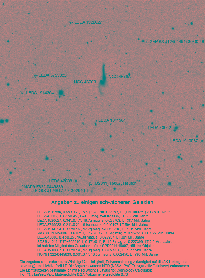 20190330.1.Die Maeuse