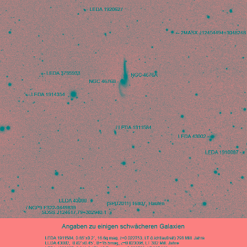 20190330.1.Die Maeuse