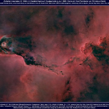 10.2025.07.04.IC1396A.Nebel