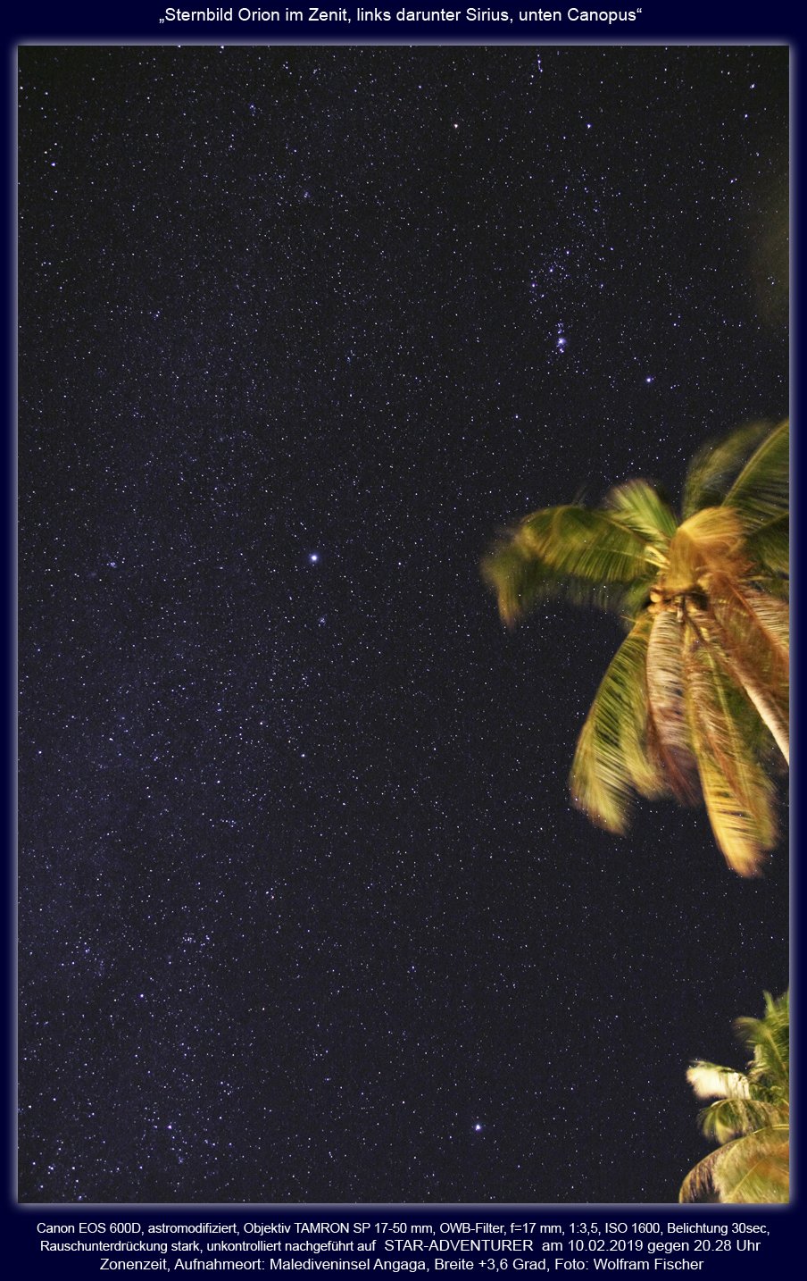 20190210.1.Malediven.Ori.CMa.Canopus.Palmen